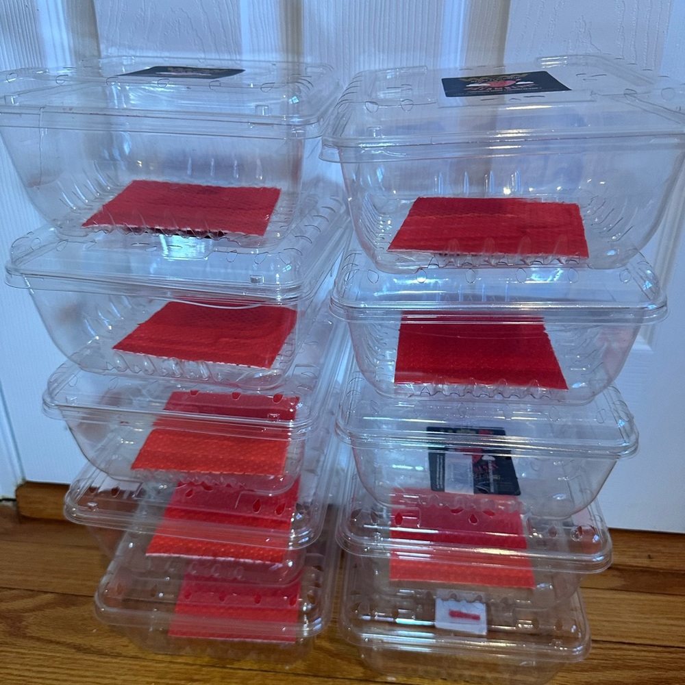 10 Pack Clear Plastic Berry Clamshell Vented Container WOW Strawberries 28oz